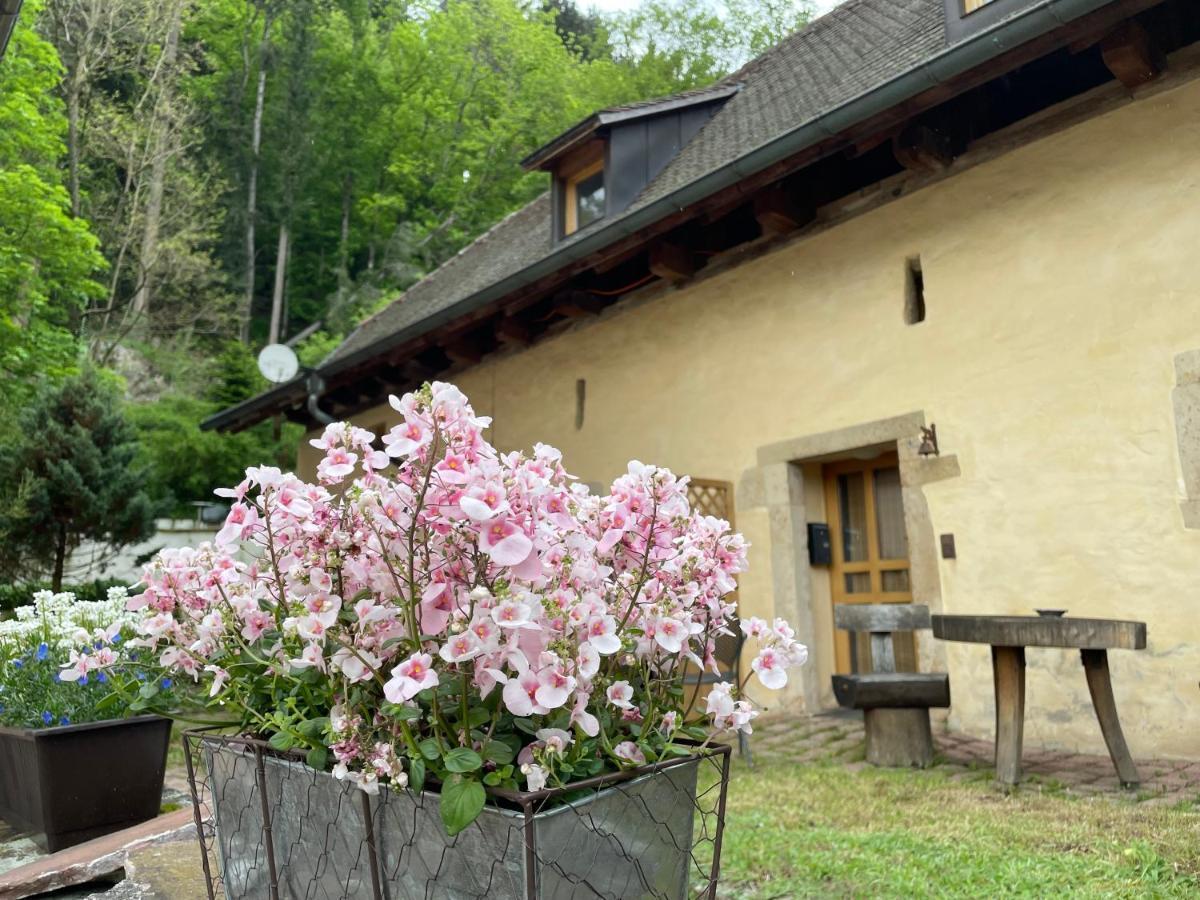 Münstertal Bed & Breakfast Muellers Klostermuehle מראה חיצוני תמונה