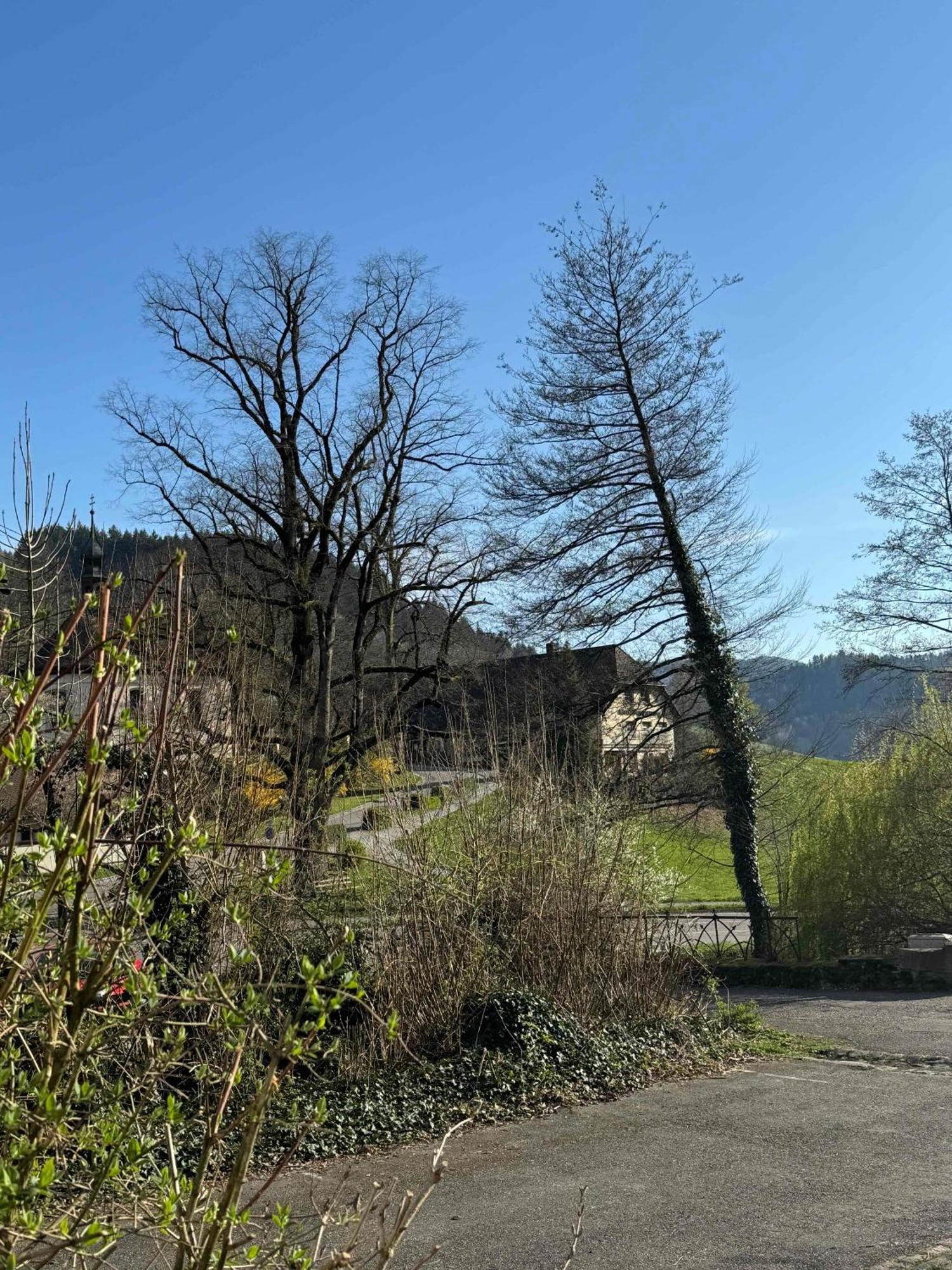 Münstertal Bed & Breakfast Muellers Klostermuehle מראה חיצוני תמונה